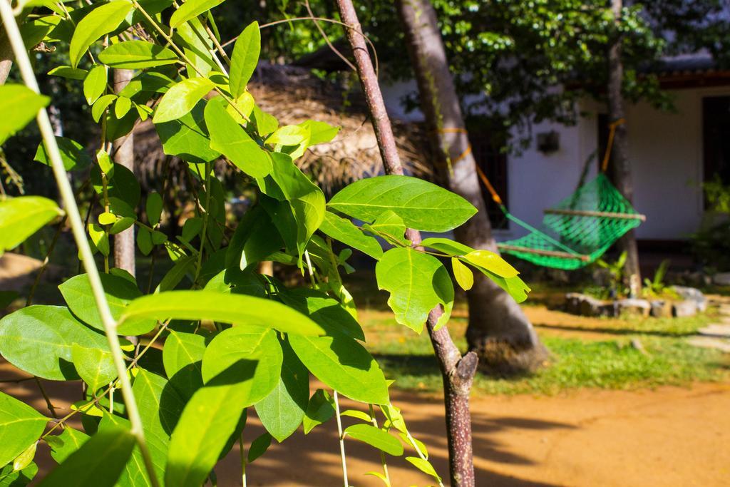Sigiriya Lahiru Homestay Exterior photo