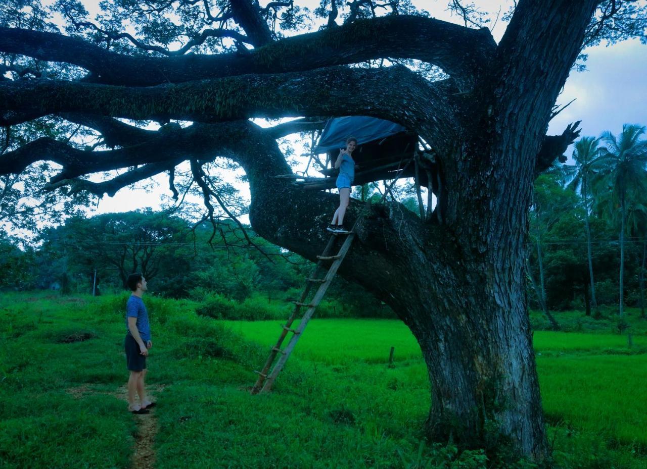Sigiriya Lahiru Homestay Exterior photo
